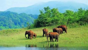 5 Nights - 6 Days Ooty - Pykara - Coonoor - Avalanche Tour