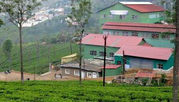 2 Nights 3 Days Ooty - Pykara Tour