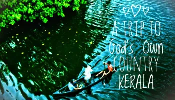 Exotic Kerala - 3 Nights 4 Days