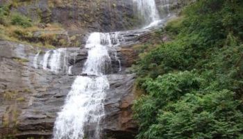 Exotic Kerala - 3 Nights 4 Days