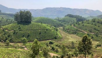 Wild Kerala - 4 Nights 5 days