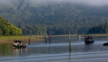 Thekkady Tour Packages