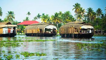 Thekkady Tour Packages