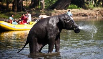 Honeymoon Special Coorg