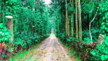 Coorg Long Weekends