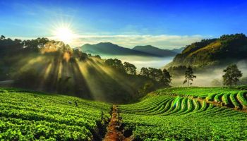 COORG LUXURIOUS HONEYMOON