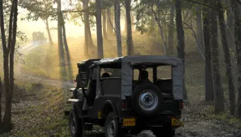 Junglesafari - Coorg & Wayanad