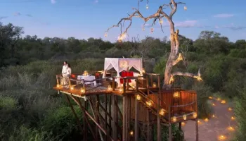 Romantic Gateway of Coorg & Wayanad