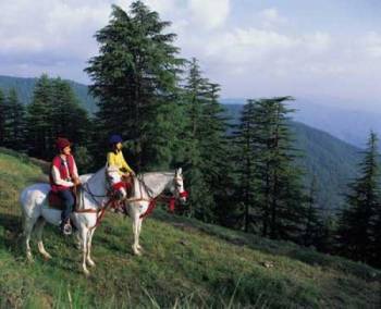 6 nights 7 Days Kashmir Delight Package