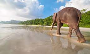 5 Night 6 Days Andaman Tour Packages