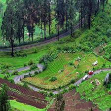 3 NIGHTS 4 DAYS OOTY TOUR PACKAGES