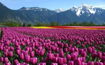 Anantnag Tour Packages