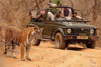 Tadoba National Park 2 Night 3 Days Tour