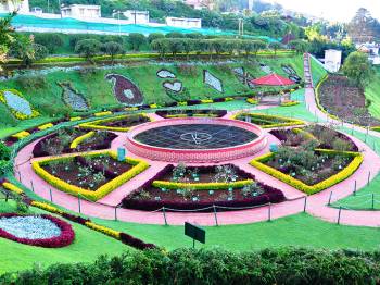 2 Nights 3 Days Bangalore to Ooty Tour Package