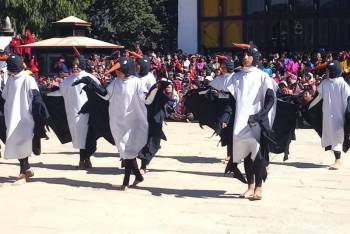 Black Necked Crane - Bird Festival 6 Nights - 7 Days Tour