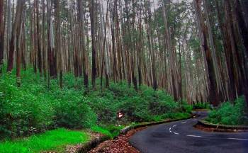 Kodaikanal 3 Day - 2 Nights Tour