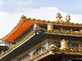 Mcleodganj Tour Packages