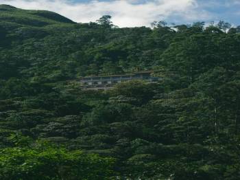 Thekkady Tour Packages