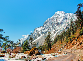 Lachung Tour Packages