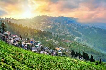 8 Days Darjeeling Pelling Gangtok Lachung Tour