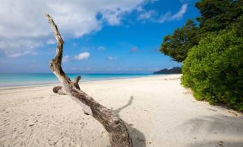 Experience Andaman's Allure
