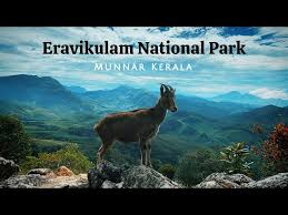 Thekkady Tour Packages