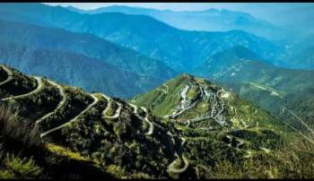 Yumthang Tour Packages