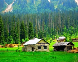 Travel Packages Kashmir Valley 5 Star 4 Nights 5 Days