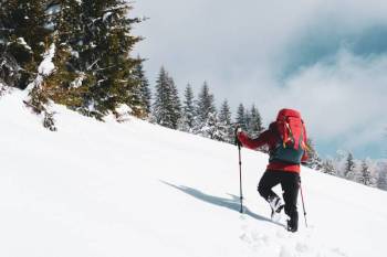 3 Night Manali Volvo Package