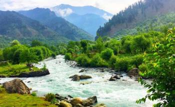 4 Nights - 5 Days Kashmir Solo Trip Packages