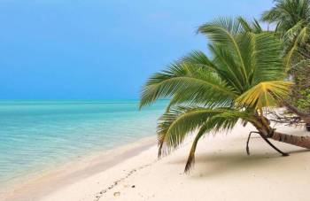 3 Ights/ 4 Days Delhi  to Lakshadweep   Tour Package