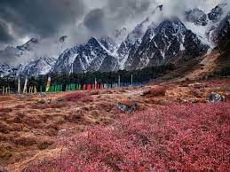 Lachung Tour Packages