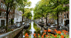 Amsterdam and Paris- 6 DAYS