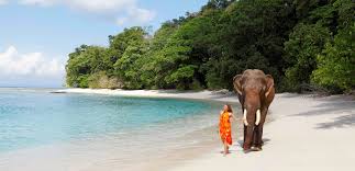 Group Tour Package For Andaman