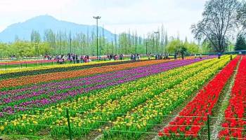 6 Night 7 Days Luxury tour to Kashmir