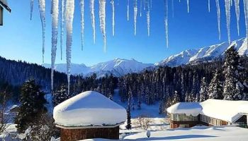 Kashmir Honeymoon Package For 4 Nights - 5 Days