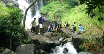 2 Night 3 Days Family Wayanad Tour