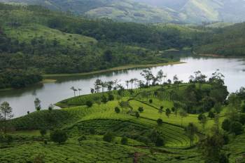 Kerala Tour Package With Cochin-Munnar-Thekkady 4 Night And 5 Days