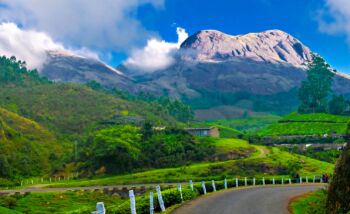 2 Nights 3 Days Munnar Tour