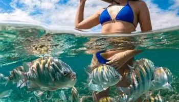 Destination Wedding Package - Zanzibar