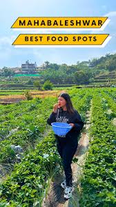 3 Night 4 Days Mahabaleshwar Panchgani Lonavala
