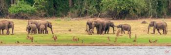 Mysore - Coorg Tour Package 3 Night - 4 Days