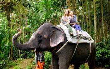 Thekkady Tour Packages