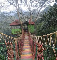 Thekkady Tour Packages