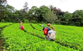 2 Night - 3 Days Kerala Tour Package