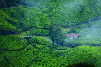 7 Night 8 Dyas  Kerala Tour Package