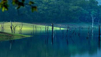 Thekkady Tour Packages