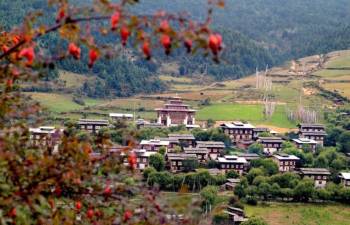 Punakha Tour Packages