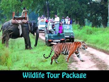 5 Days Wildlife Tour Package In Uttarakhand