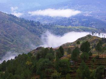 Ranikhet Tour Packages